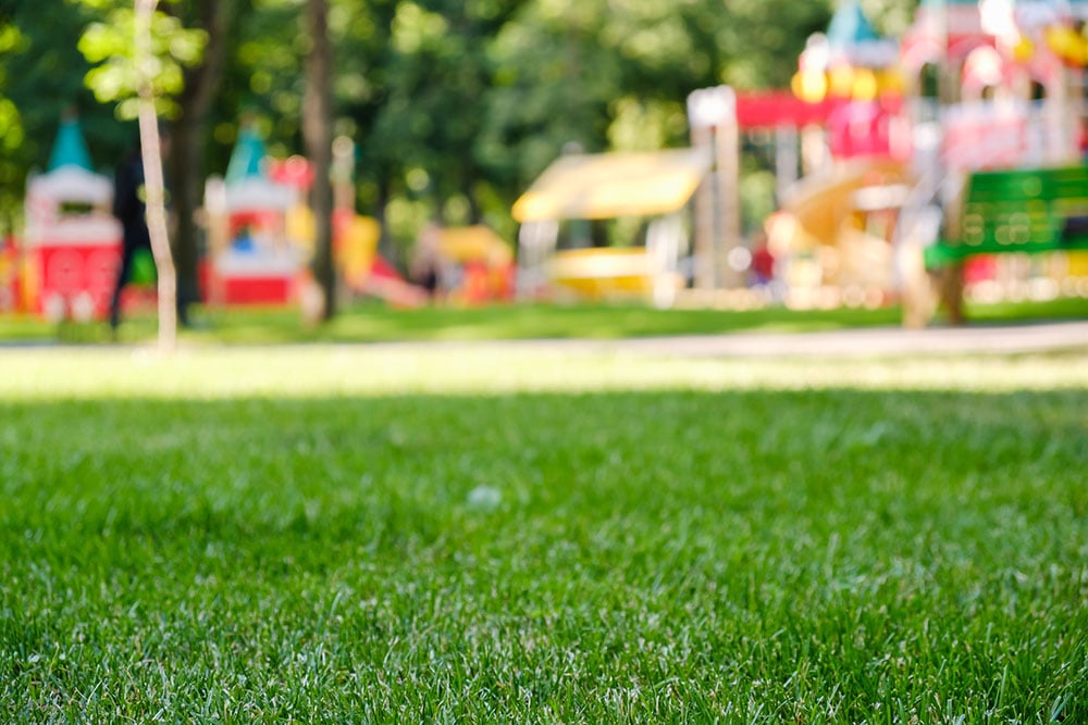 Drainages installed at colorful playground on yard in the park