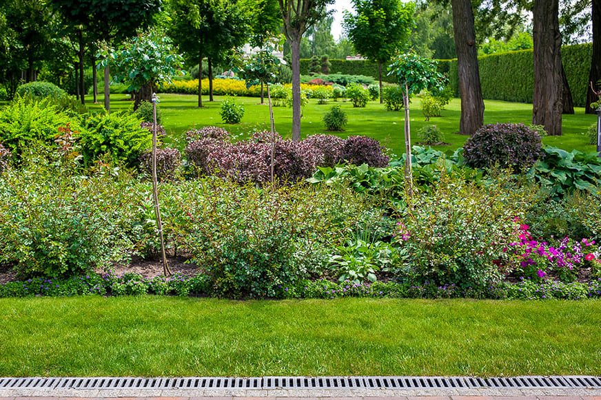 Trench drains are designed to collect pooling water and divert it away from the ground's surface