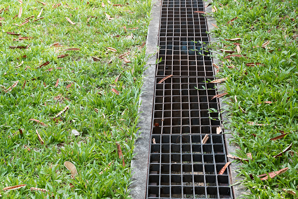 13 Ways to Keep Your Yard Dry and a Guide to Choosing the Right Type of Yard Drain