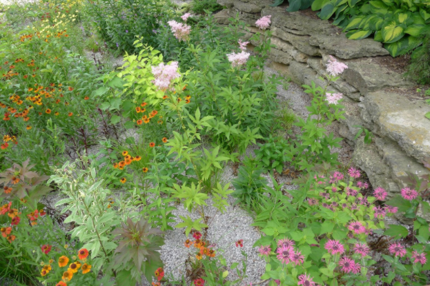 Rain gardens